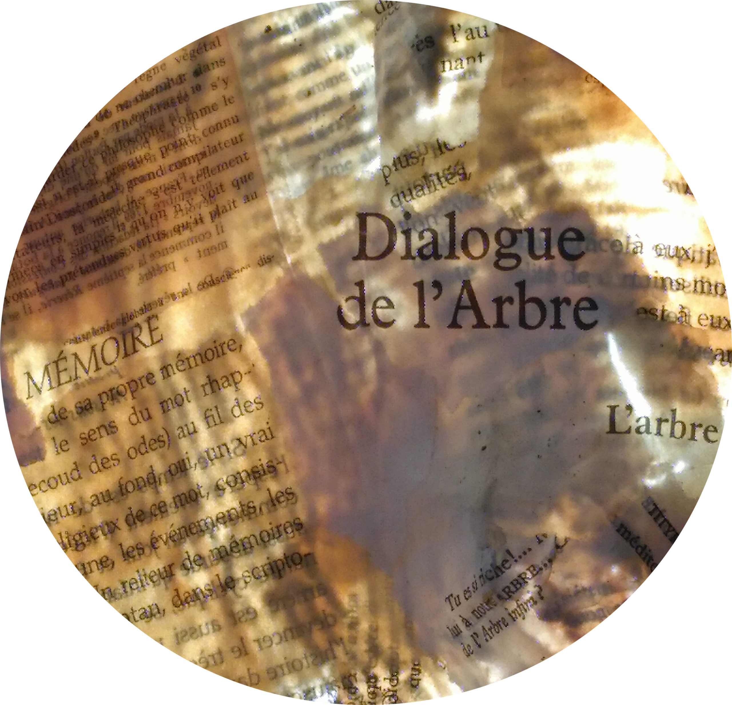 A l'intérieur de l'écorce